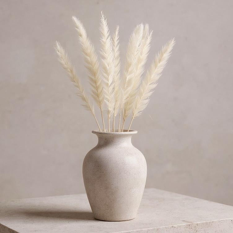 Gedroogde Rietpluimen