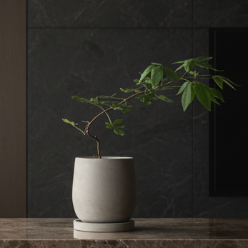 Ronde Cementen Plantenpot